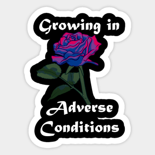 Bisexual Pride Rose Sticker